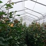 Jose Cahueñas - @josecahuenas - Instagram