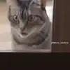 josecalix269 - @josecalix269 - TikTok