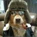Jose Cameron - Facebook