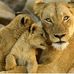 Jose Cameron - Facebook