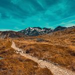 Joseph Cameron - @joseph_cameron1139 - Instagram