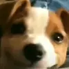 jose_campoverde - @jose_campoverde - TikTok
