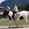 José Campoverde - @josecampoverde31 - TikTok