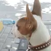 jose.can - @jose.can - TikTok