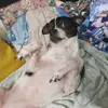 jose cano - @jose.cano217 - TikTok