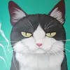 José canton - @jos.canton - TikTok
