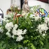 Jose Capote - @jose.capote05 - TikTok