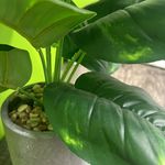 Jose Carbone Carbone - @josecarbone1811 - Instagram
