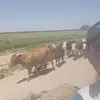 Jose Carra - @jose.carra5 - TikTok
