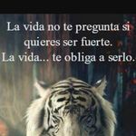 José Carranco Martínez - @josecarrancomartinez - Instagram