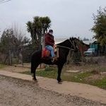 CARTER - @jose_carter_castillo - Instagram