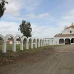 Jose Casaus - @jose.casaus.752 - Instagram