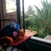 José Cassab - @j_cassabh - TikTok