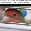 josedoneycassab - @josedoneycassab - TikTok