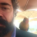 José Tomaz Castello Branco - @jose_castellobranco - Instagram
