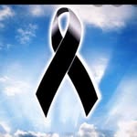 Jose Celorio - @jose.celorio.5 - Instagram