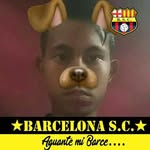 Jose Celorio Solorzano - @joseceloriosolorzano - Instagram