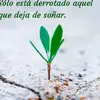 arnoldo perez - @joseclass569 - TikTok
