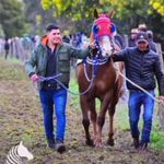 Jose Concha - @concha.s_jluis - Instagram