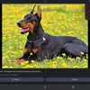 Jose Conner - @jose.conner6 - TikTok