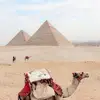 joseph_conner1984 - @joseph_conner1984 - TikTok