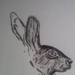 Jose Constanza - @jose.constanza.58 - Instagram