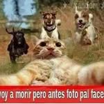 Jose Copa - @josecopa12 - Instagram