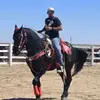 josecorrea15580 - @josecorrea15580 - TikTok