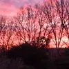 josecox - @josecox74 - TikTok