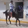 José crespo 🧔🏻‍♂️ - @joscrespo86 - TikTok
