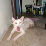 Jose Dacanay Jr. - @jr.josedacanay - Instagram