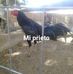 Jose Elver Dimayuga Garsia - Facebook