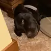 joseph_dolan09 - @joseph_dolan09 - TikTok