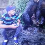 Jose Donis - @jose.donis.73157 - Instagram