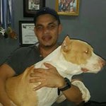 Jose Elvir - @joseluiselvir - Instagram