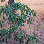 Jose Espíritu - @espiritu7606 - Instagram