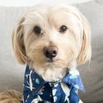 José Eusebio - @joseeusebio_ - Instagram