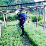 José Eusebio Castillo - @jose_eusebio19 - Instagram