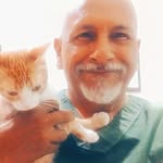 José Ferraz MV - @vet_jose.ferraz - Instagram
