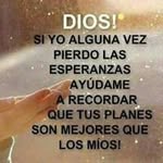 Jose Fox - @fox.jose - Instagram