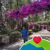 Jose Garduno - @jose.garduno983 - TikTok