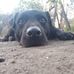 Jose Gerez - Facebook