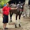 Jose Gorospe - @jose.gorospe - TikTok