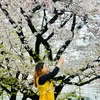 josephinegorospe6 - @josephinegorospe6 - TikTok