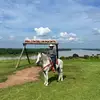 Josegraff🍀🤠🐒 - @josegraff8 - TikTok