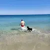 Joe Gray - @josef.gray - TikTok