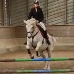 @jose_gray_dressage - Instagram