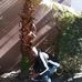 Jose Ivey - Facebook