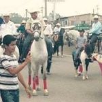 Jose Jovel - @jose.jovel.1004 - Instagram