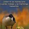 Jose Jovel - @jose.jovel03 - TikTok